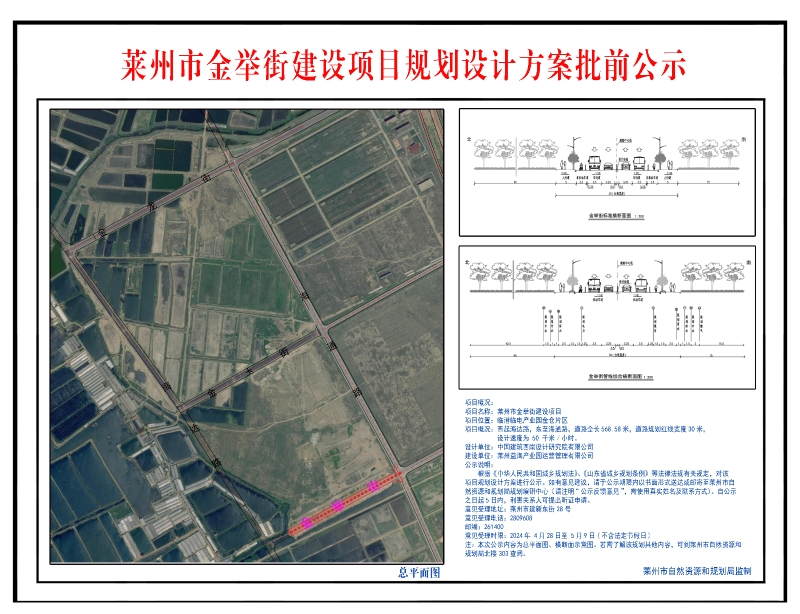 莱州市金举街建设项目规划设计方案批前公示